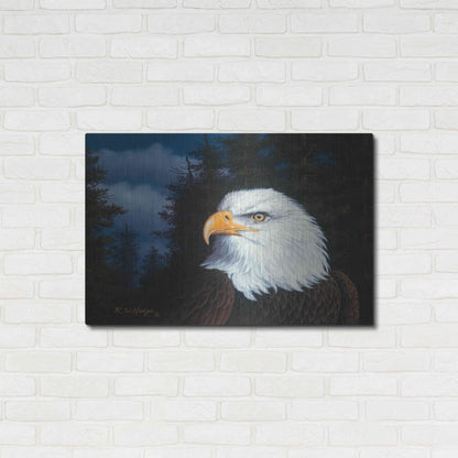 Luxe Metal Art 'The Face Of Freedom' by R. Hed, Metal Wall Art,36x24