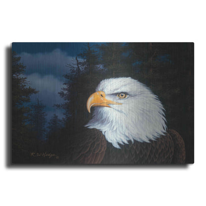 Luxe Metal Art 'The Face Of Freedom' by R. Hed, Metal Wall Art