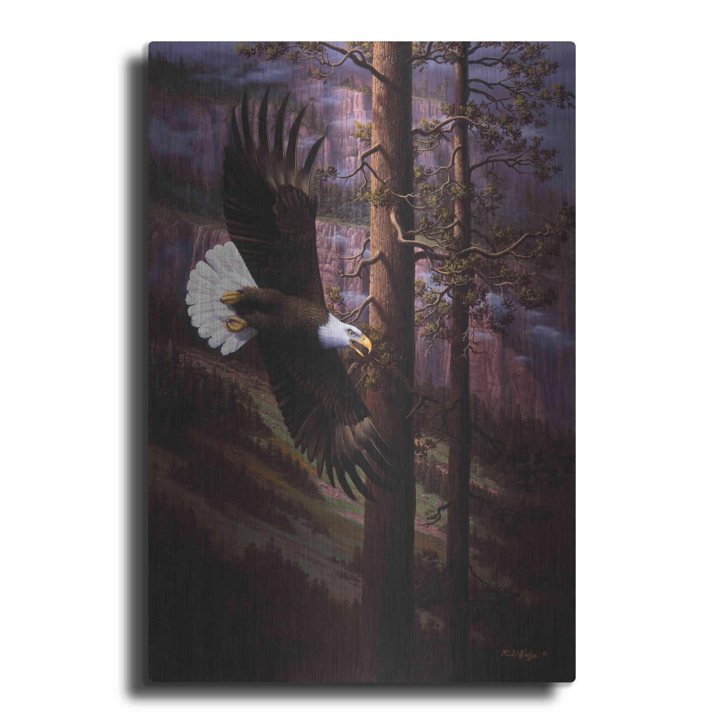 Luxe Metal Art 'The Master Of Freedom' by R. Hed, Metal Wall Art