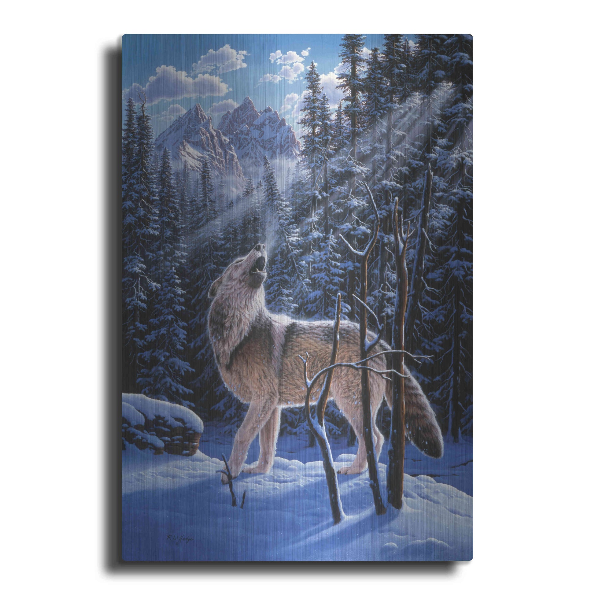 Luxe Metal Art 'In The Still Of The Tetons' by R. Hed, Metal Wall Art