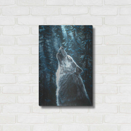 Luxe Metal Art 'Moonlight' by R. Hed, Metal Wall Art,16x24