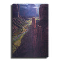 Luxe Metal Art 'Chasm Of Dreams' by R. Hed, Metal Wall Art