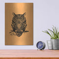 'Warrior Owl On Orange' by Rachel Caldwell – Metal Wall Art, 12x16 room view