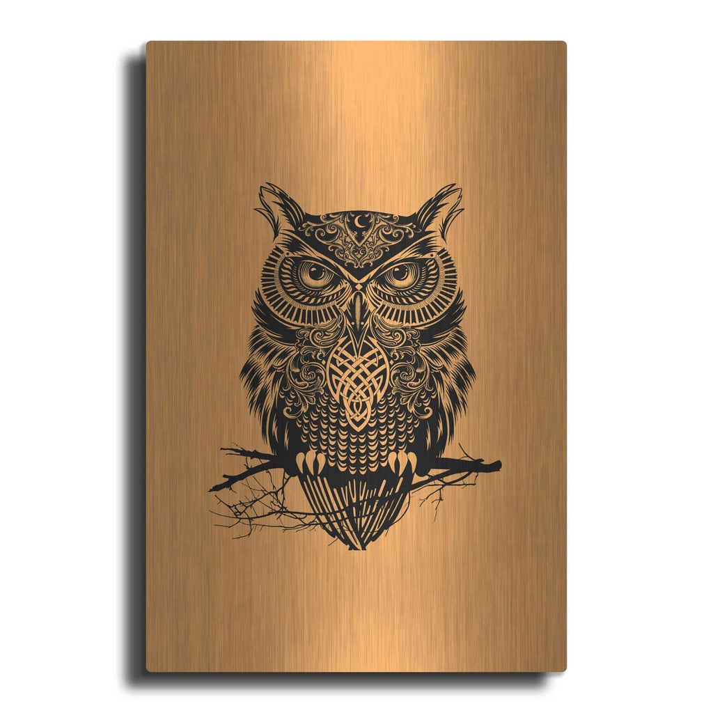 'Warrior Owl On Orange' by Rachel Caldwell – Metal Wall Art
