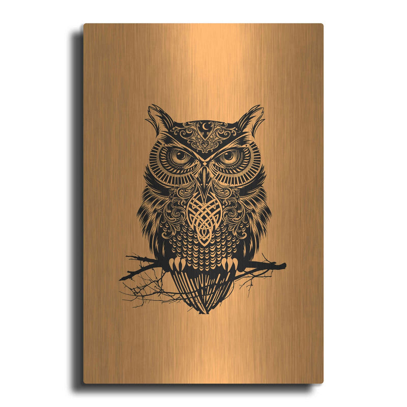 'Warrior Owl On Orange' by Rachel Caldwell – Metal Wall Art