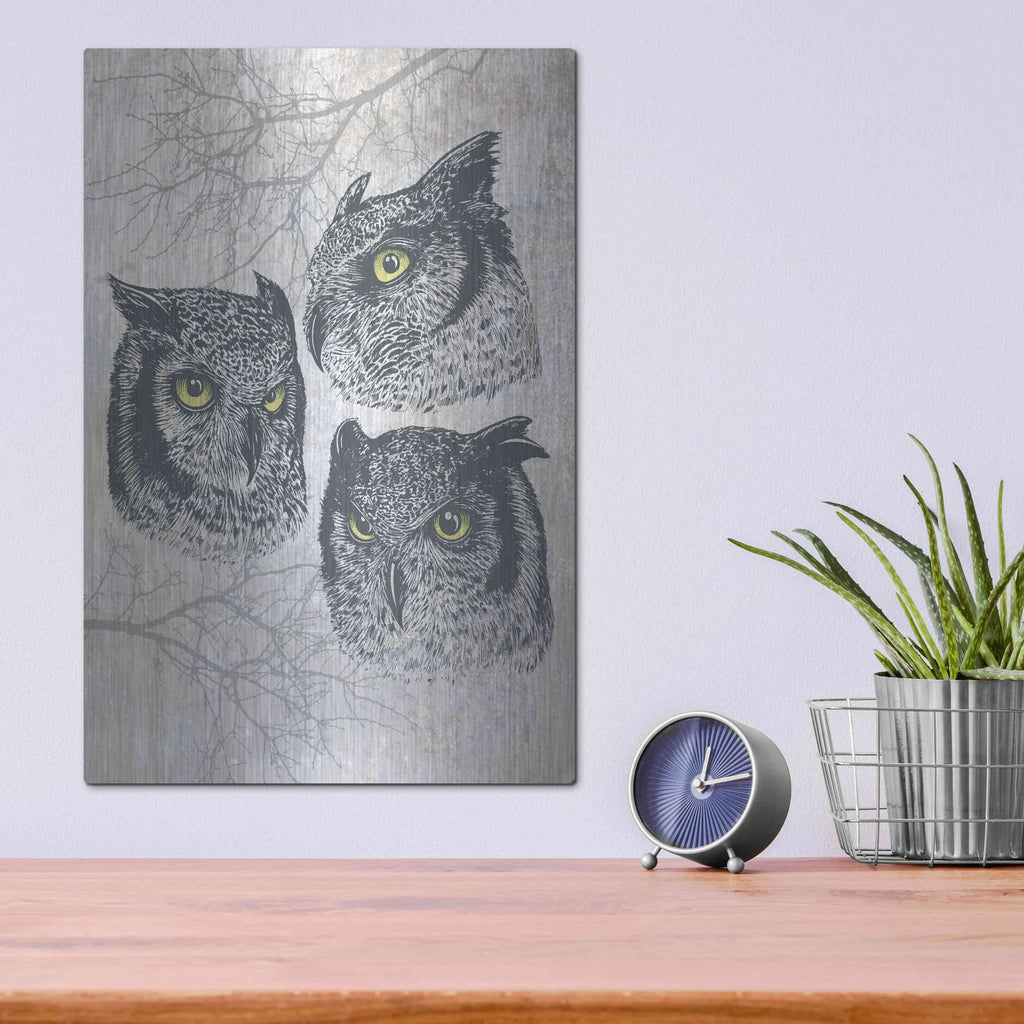 'Three Owls' by Rachel Caldwell – Metal Wall Art, 12x16 room view