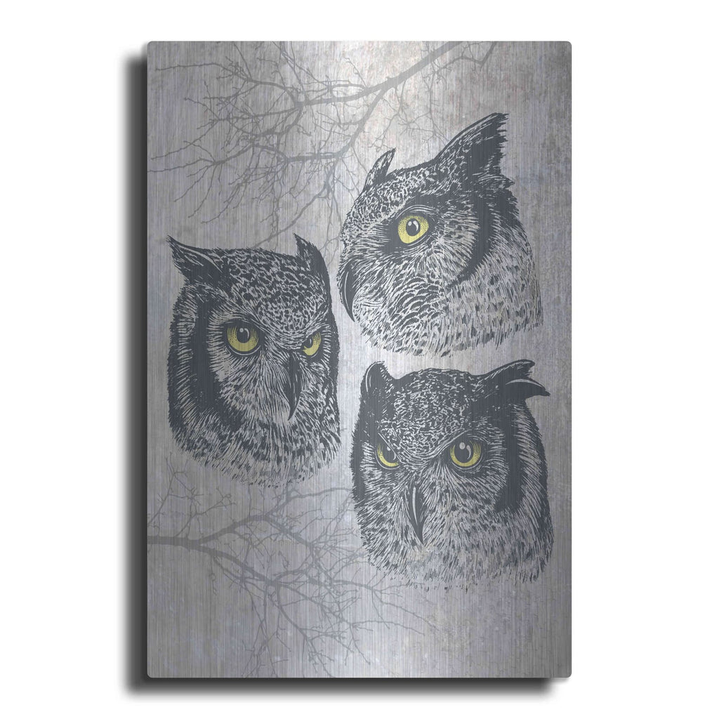 'Three Owls' by Rachel Caldwell – Metal Wall Art