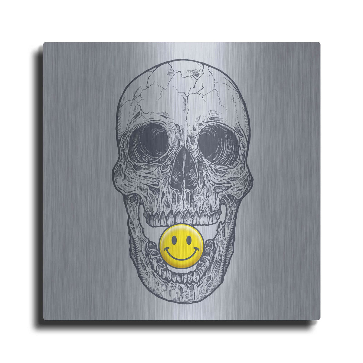 'Skull Have A Nice Day' by Rachel Caldwell – Metal Wall Art