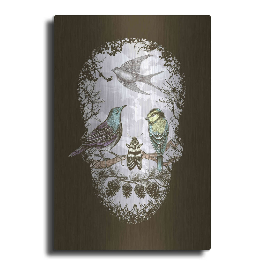 'Natures Skull' by Rachel Caldwell – Metal Wall Art