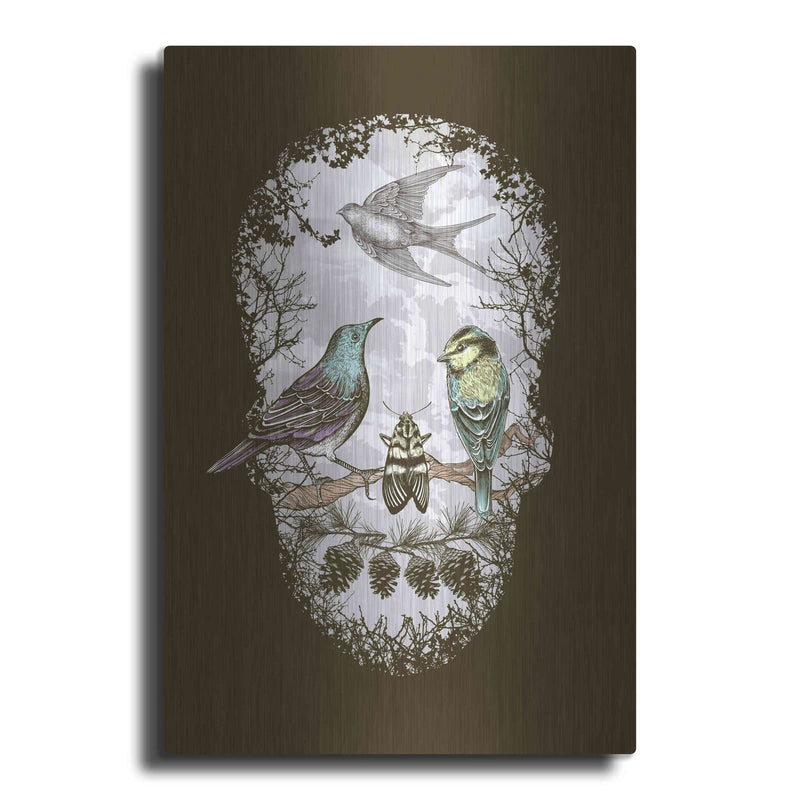 'Natures Skull' by Rachel Caldwell – Metal Wall Art
