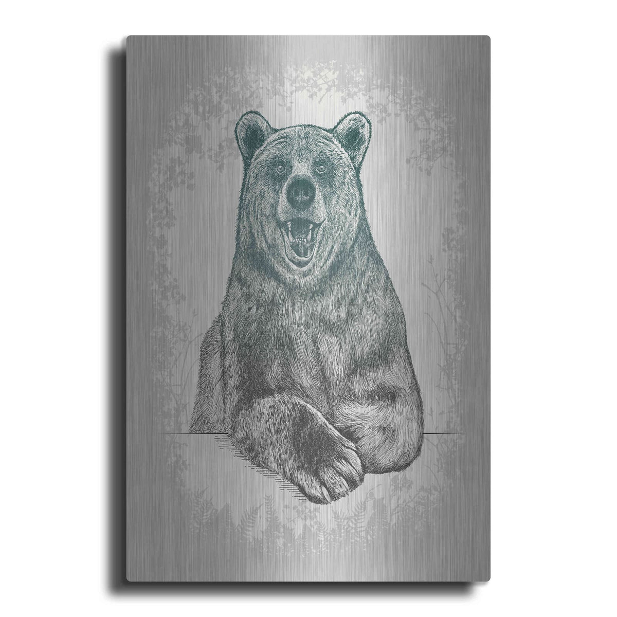 'Laughing Bear Etching' by Rachel Caldwell – Metal Wall Art