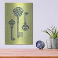 'Skeleton Keys' by Rachel Caldwell – Metal Wall Art, 12x16 room view