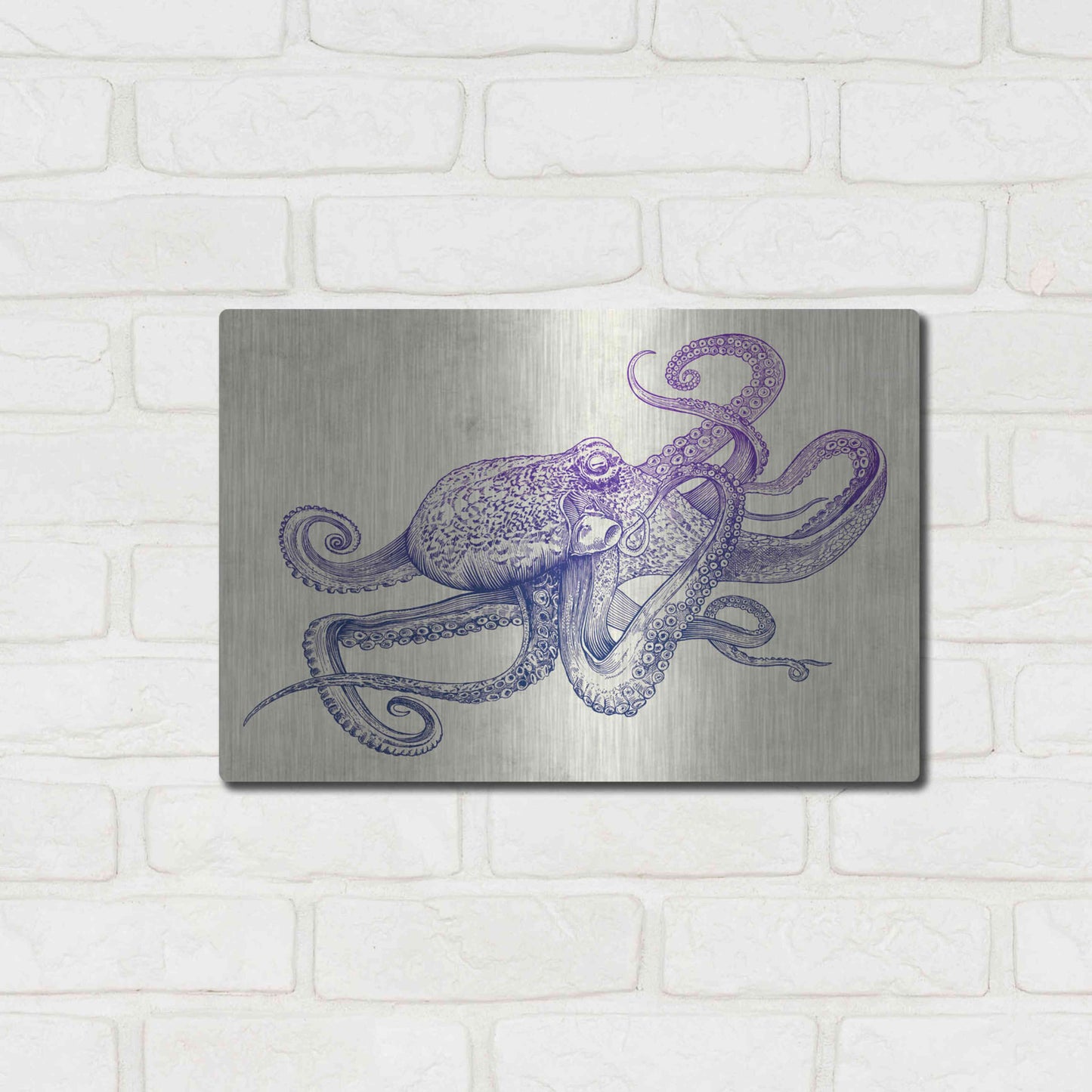 Luxe Metal Art 'Octo-Flow' by Luxe Portfolio, Metal Wall Art,16x12