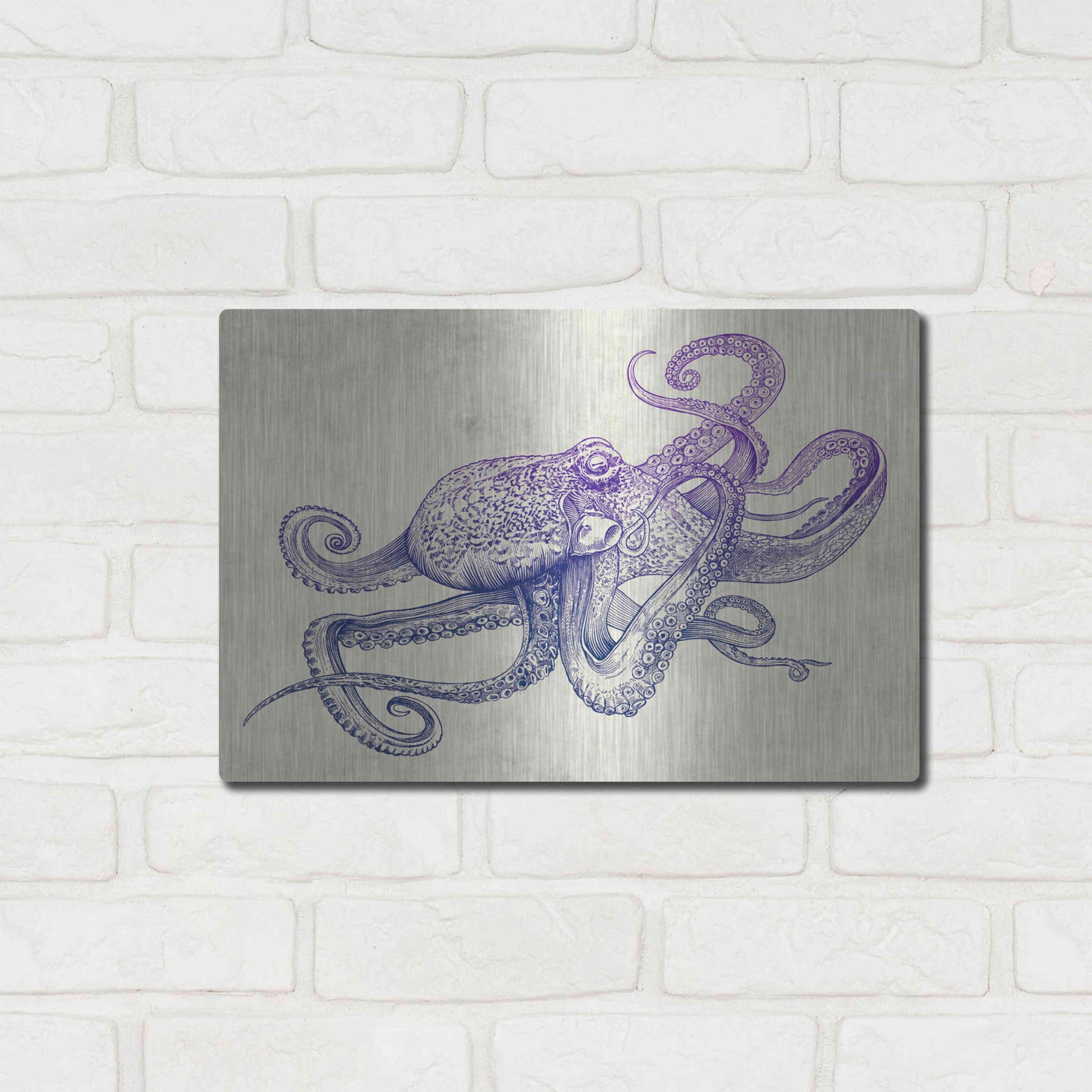 Luxe Metal Art 'Octo-Flow' by Luxe Portfolio, Metal Wall Art,16x12