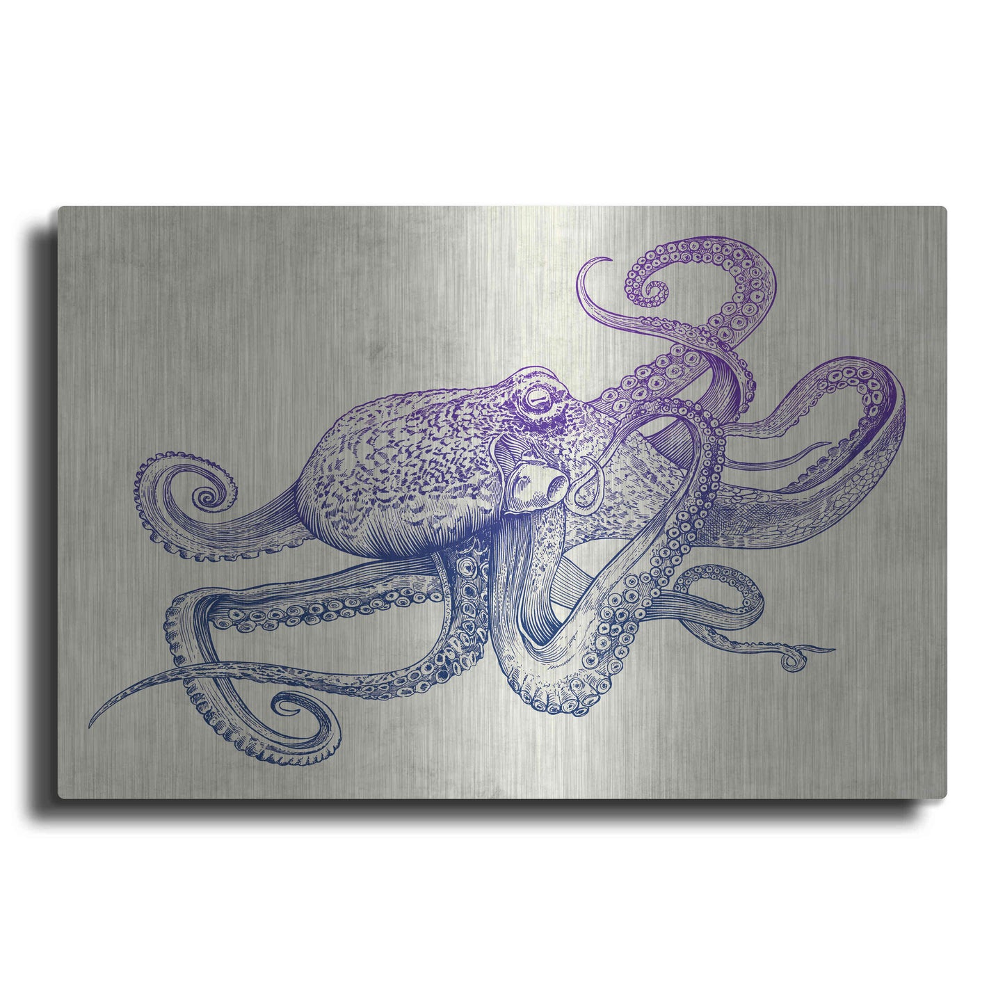 Luxe Metal Art 'Octo-Flow' by Luxe Portfolio, Metal Wall Art