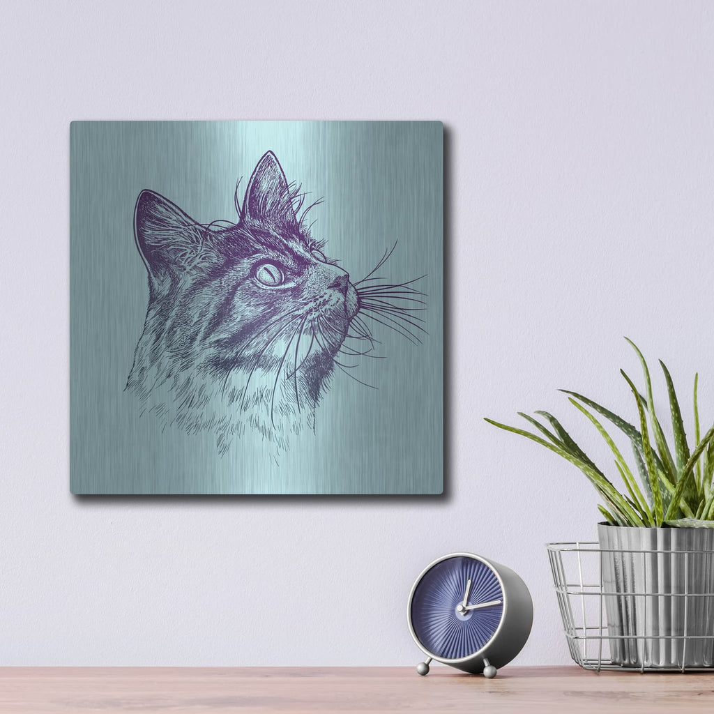 'Cat Looking Up' by Rachel Caldwell – Metal Wall Art, 12x12 room view