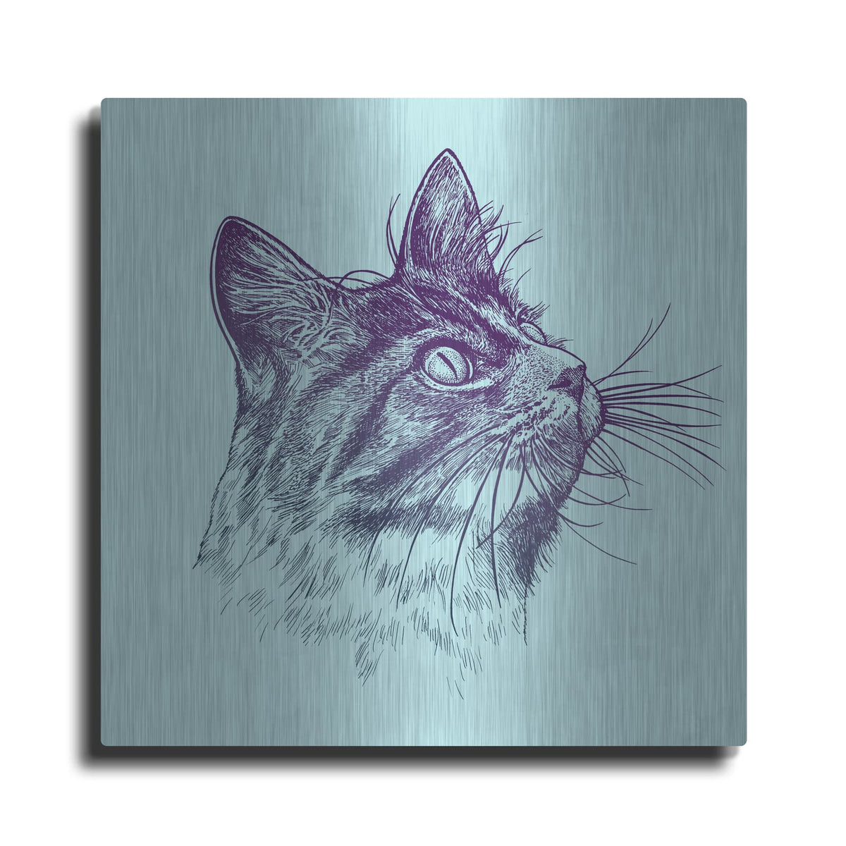 'Cat Looking Up' by Rachel Caldwell – Metal Wall Art
