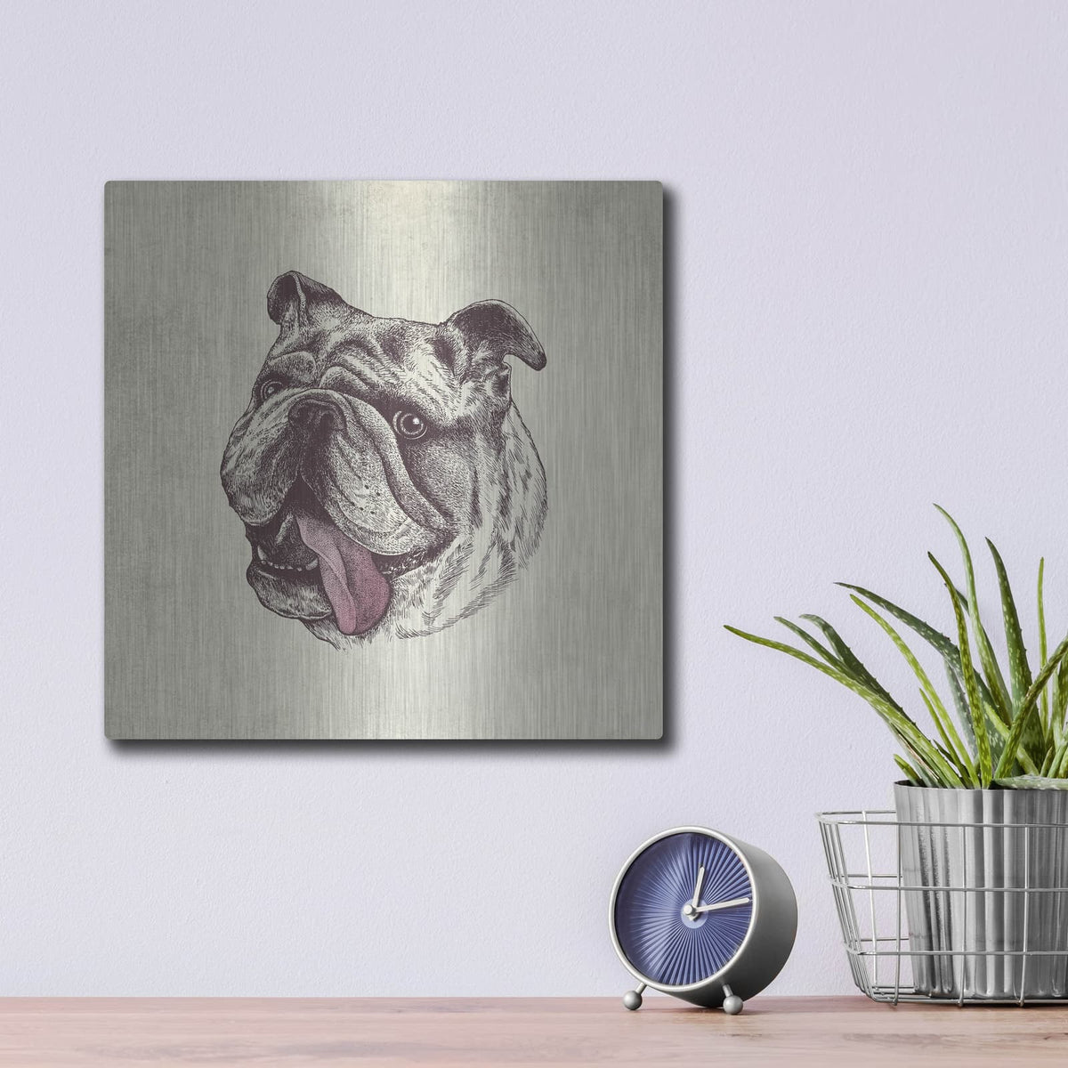 'Bulldog King' by Rachel Caldwell – Metal Wall Art, 12x12 room view