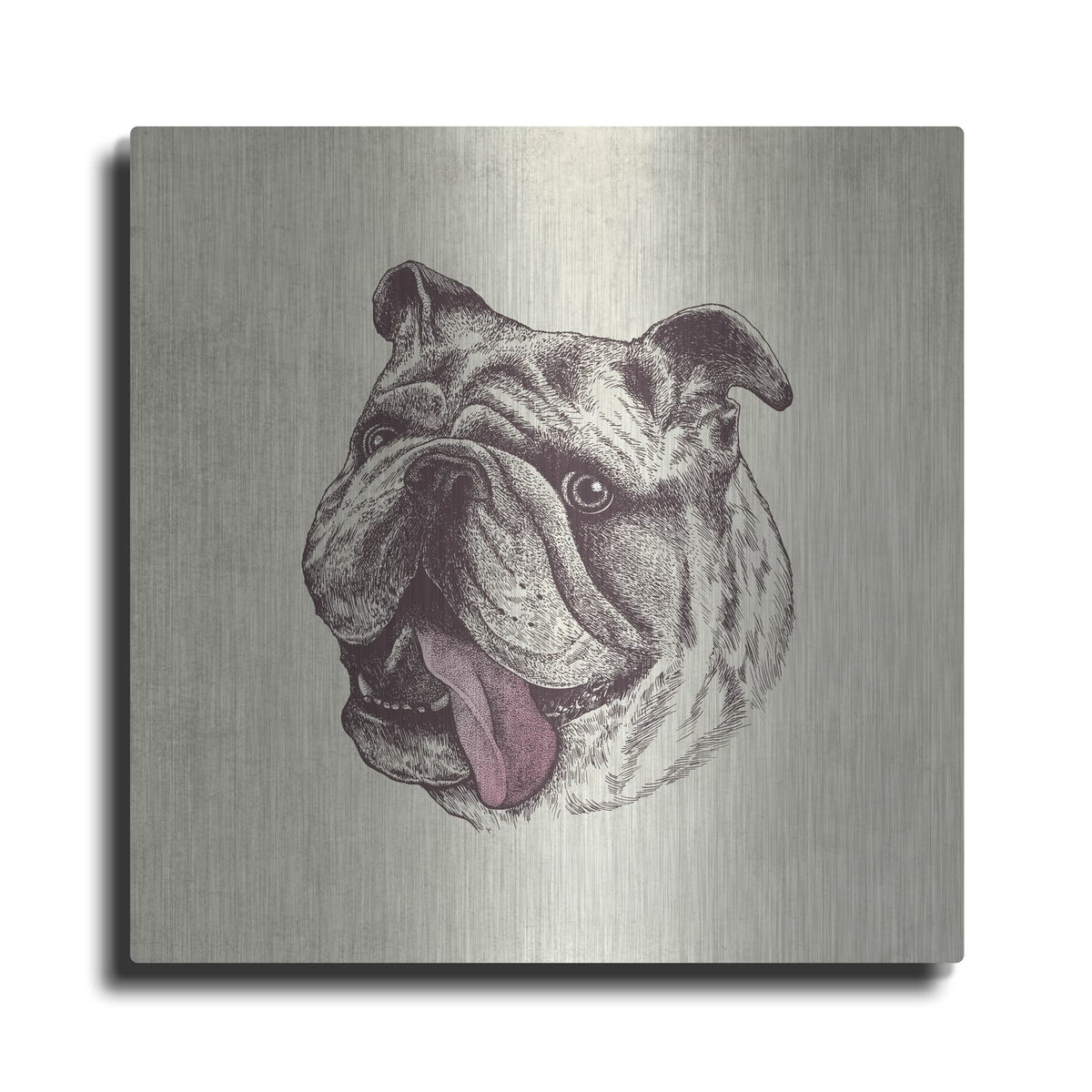 'Bulldog King' by Rachel Caldwell – Metal Wall Art