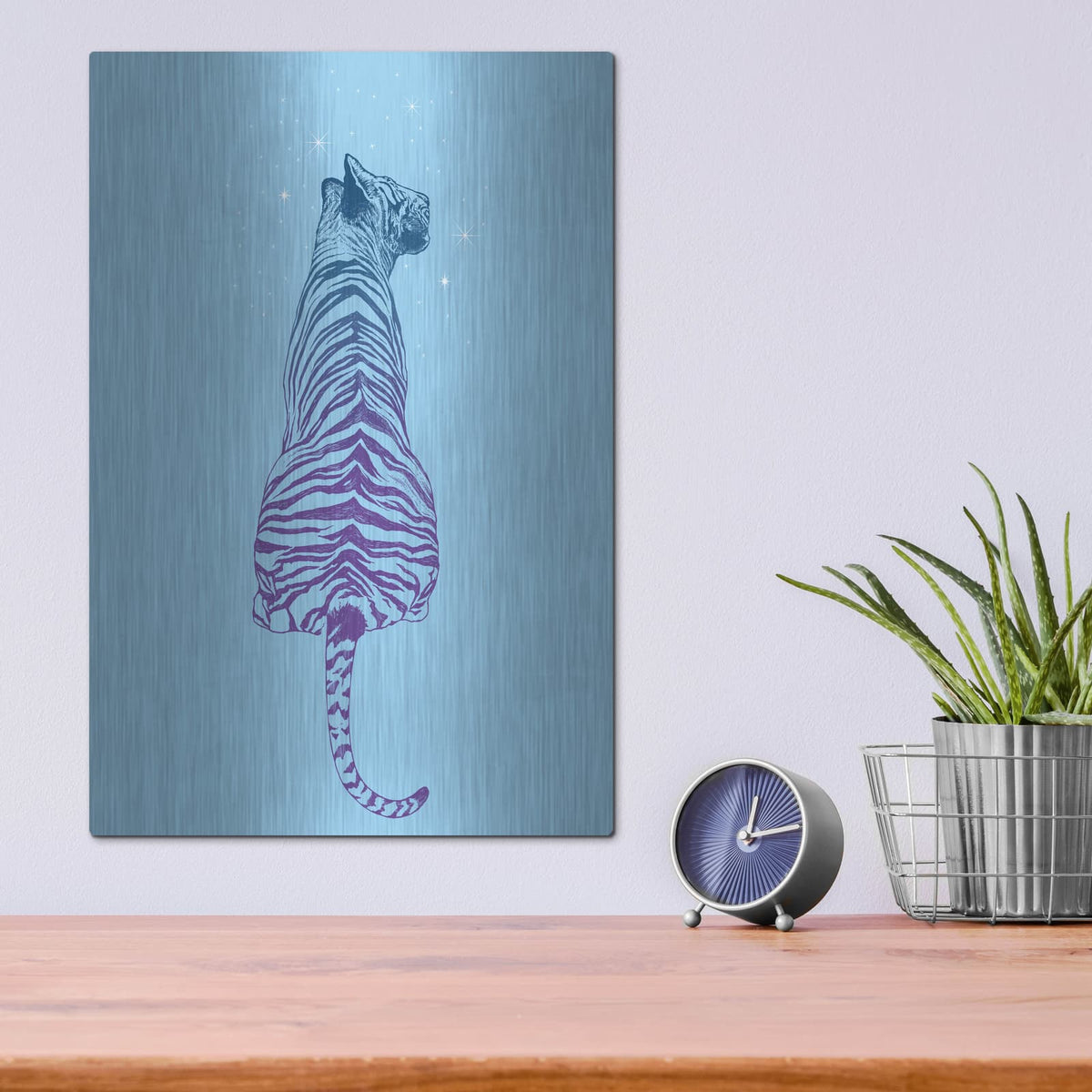 'Tiger Wonder' by Rachel Caldwell – Metal Wall Art, 12x16 room view