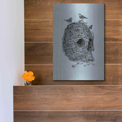 Luxe Metal Art 'Skull Nest' by Luxe Portfolio, Metal Wall Art,12x16