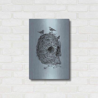 Luxe Metal Art 'Skull Nest' by Luxe Portfolio, Metal Wall Art,16x24