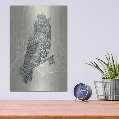 Luxe Metal Art 'Owl_King' by Luxe Portfolio, Metal Wall Art,12x16