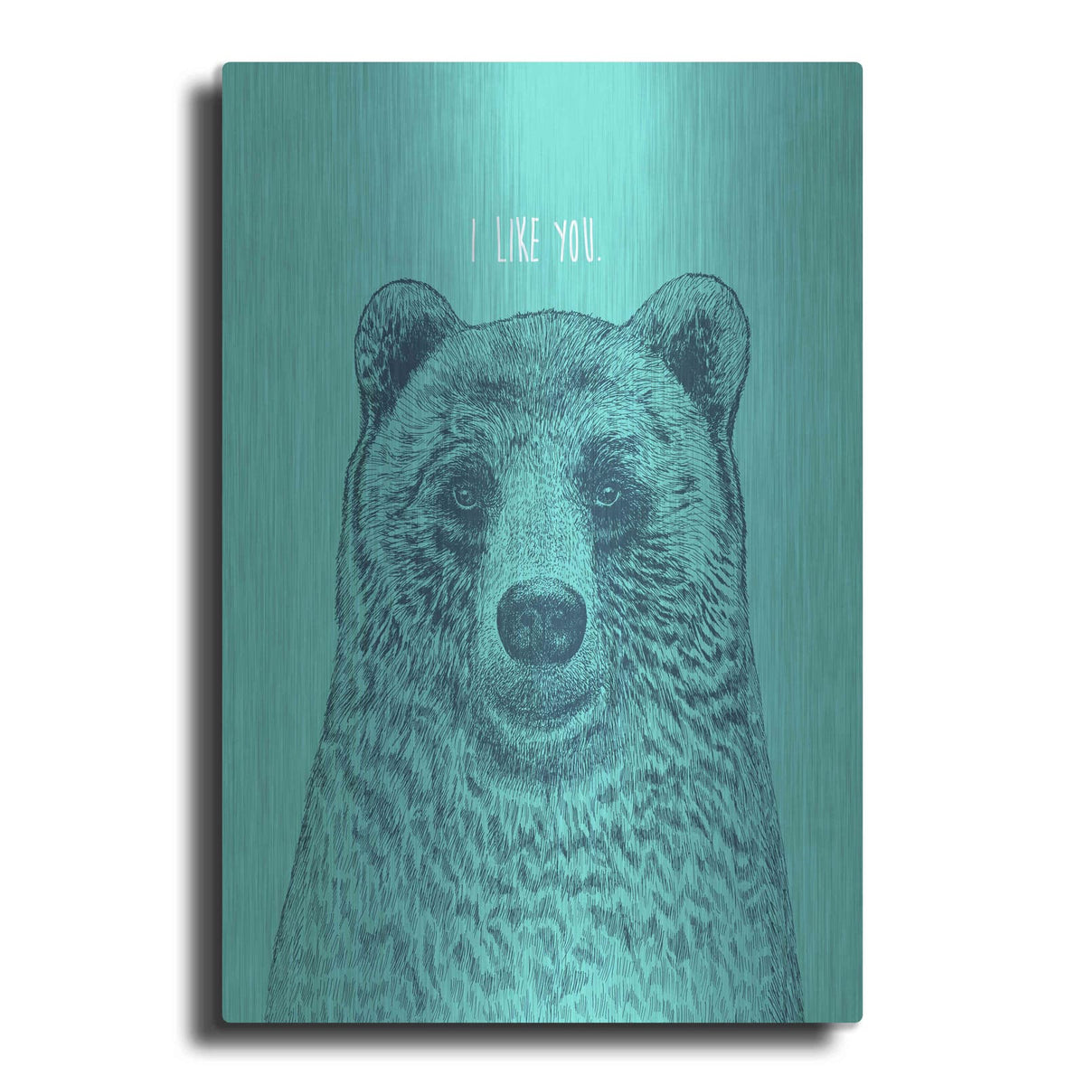 'I Like You Bear' by Rachel Caldwell – Metal Wall Art