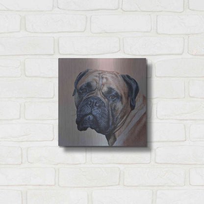 Luxe Metal Art 'Stanley' by Sam Dolman, Metal Wall Art,12x12