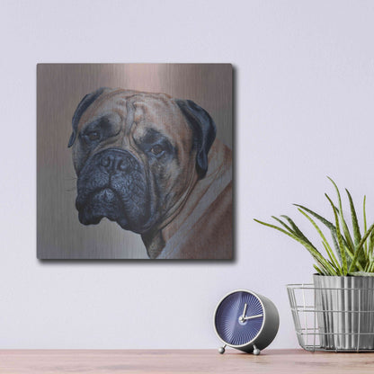 Luxe Metal Art 'Stanley' by Sam Dolman, Metal Wall Art,12x12