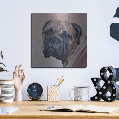 Luxe Metal Art 'Stanley' by Sam Dolman, Metal Wall Art,12x12