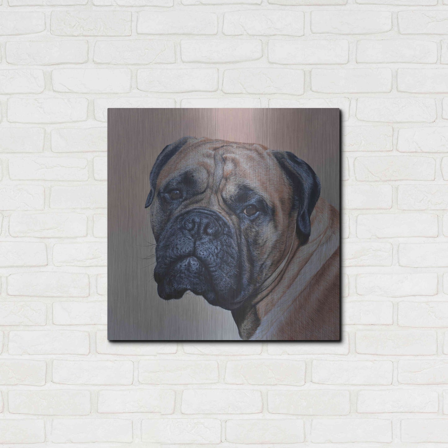 Luxe Metal Art 'Stanley' by Sam Dolman, Metal Wall Art,24x24