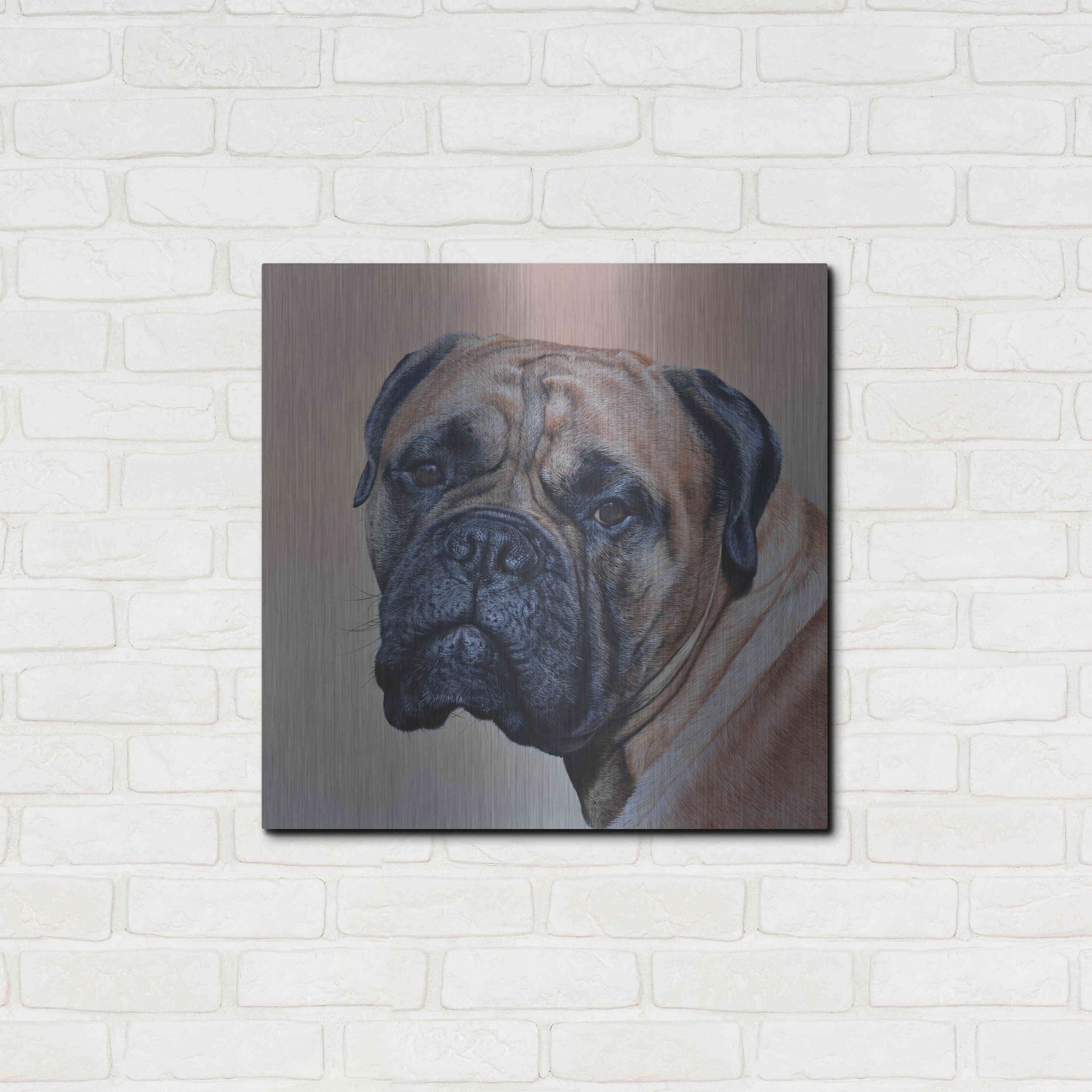 Luxe Metal Art 'Stanley' by Sam Dolman, Metal Wall Art,24x24