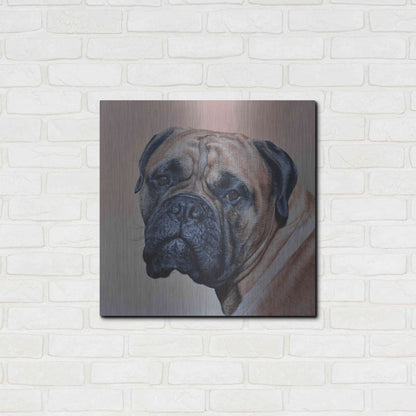 Luxe Metal Art 'Stanley' by Sam Dolman, Metal Wall Art,24x24