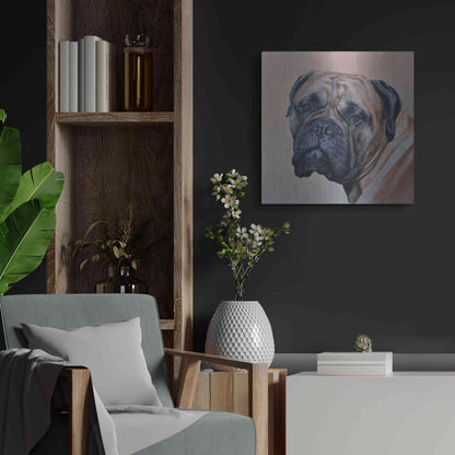 Luxe Metal Art 'Stanley' by Sam Dolman, Metal Wall Art,24x24