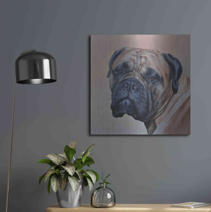 Luxe Metal Art 'Stanley' by Sam Dolman, Metal Wall Art,24x24