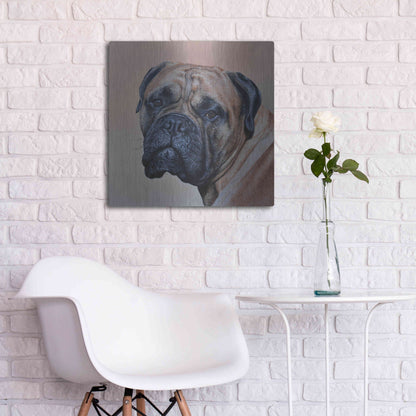 Luxe Metal Art 'Stanley' by Sam Dolman, Metal Wall Art,24x24
