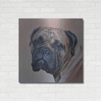 Luxe Metal Art 'Stanley' by Sam Dolman, Metal Wall Art,36x36
