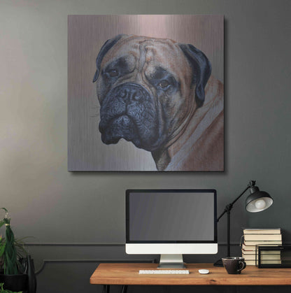 Luxe Metal Art 'Stanley' by Sam Dolman, Metal Wall Art,36x36