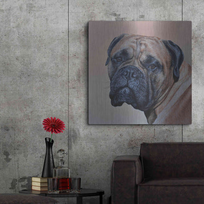 Luxe Metal Art 'Stanley' by Sam Dolman, Metal Wall Art,36x36