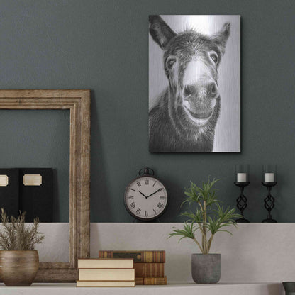 Luxe Metal Art 'Hazel' by Sam Dolman, Metal Wall Art,12x16