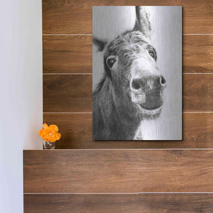 Luxe Metal Art 'Chesnut' by Sam Dolman, Metal Wall Art,12x16