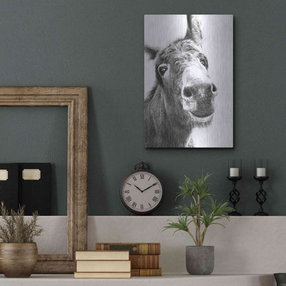 Luxe Metal Art 'Chesnut' by Sam Dolman, Metal Wall Art,12x16