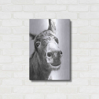 Luxe Metal Art 'Chesnut' by Sam Dolman, Metal Wall Art,16x24