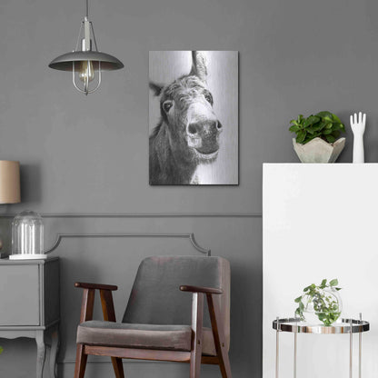 Luxe Metal Art 'Chesnut' by Sam Dolman, Metal Wall Art,16x24