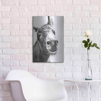 Luxe Metal Art 'Chesnut' by Sam Dolman, Metal Wall Art,16x24