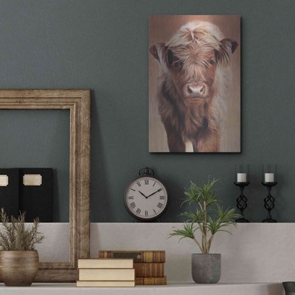 Luxe Metal Art 'Angus' by Sam Dolman, Metal Wall Art,12x16