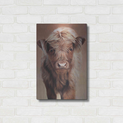 Luxe Metal Art 'Angus' by Sam Dolman, Metal Wall Art,16x24