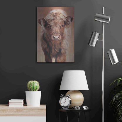 Luxe Metal Art 'Angus' by Sam Dolman, Metal Wall Art,16x24