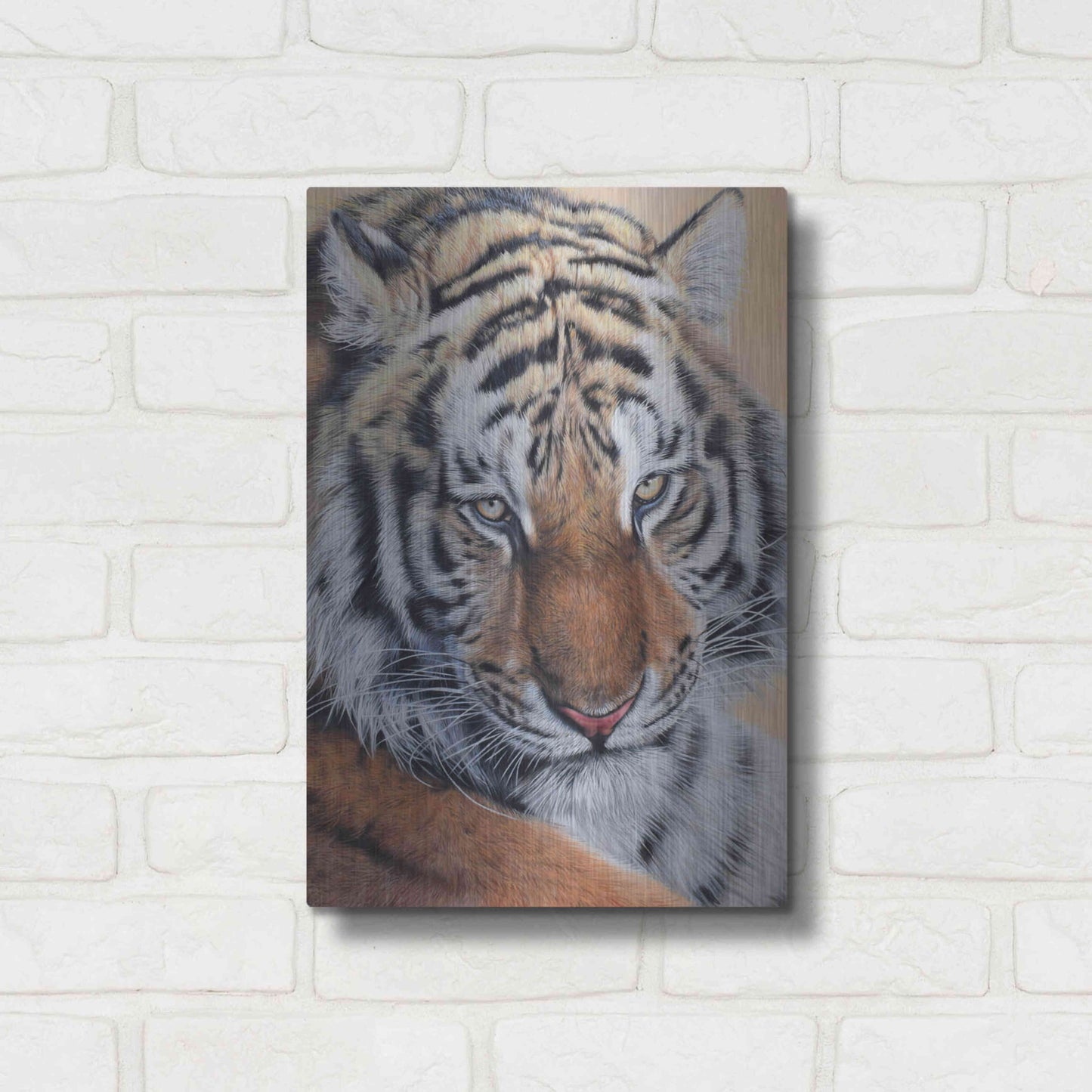 Luxe Metal Art 'Alexei' by Sam Dolman, Metal Wall Art,12x16